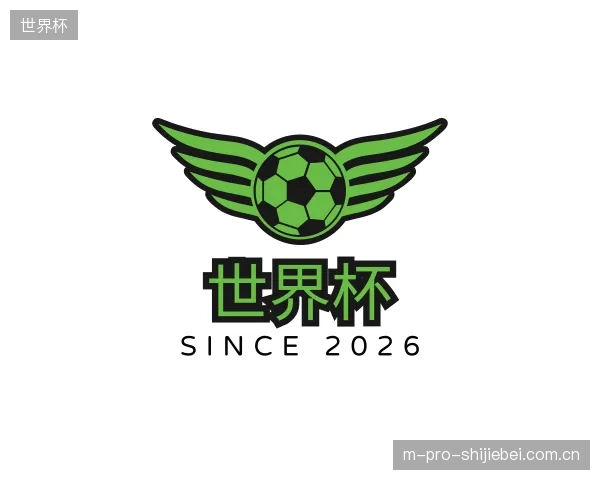 关于世界杯官网